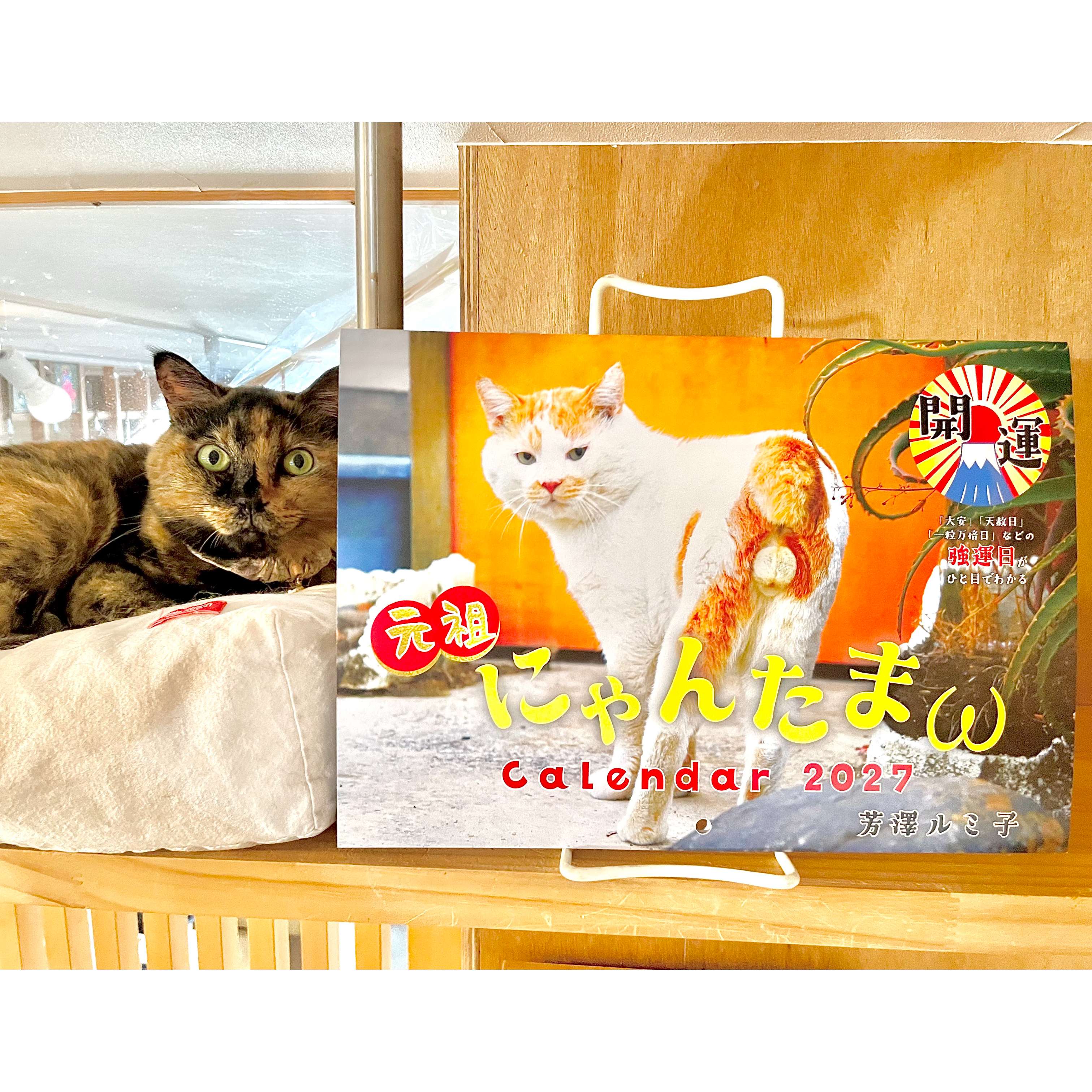 巽の猫 開運‼にゃんたまωカレンダー2027 | Cat's Meow Books Virtual S