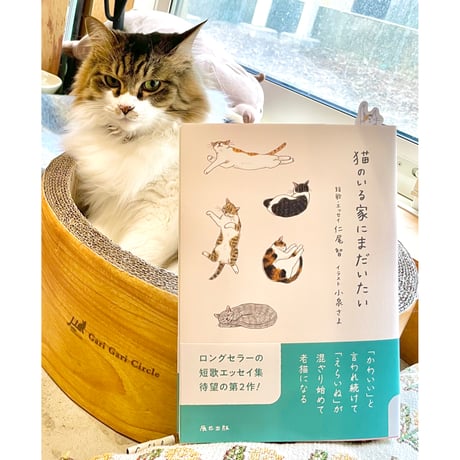 ぱんのみみ　ジークレー　 直筆サイン入り　K-BOOKS ４種セット Cat's Meow Books Virtual Shop β