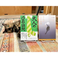 同一性と個体 種別概念に基づく統一理論に向けて | Cat's Meow Books