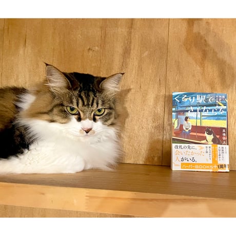 ITEM | Cat's Meow Books Virtual Shop β