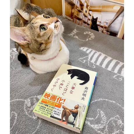 CATEGORY 黒猫表紙マニア | Cat's Meow Books Virtual Shop β