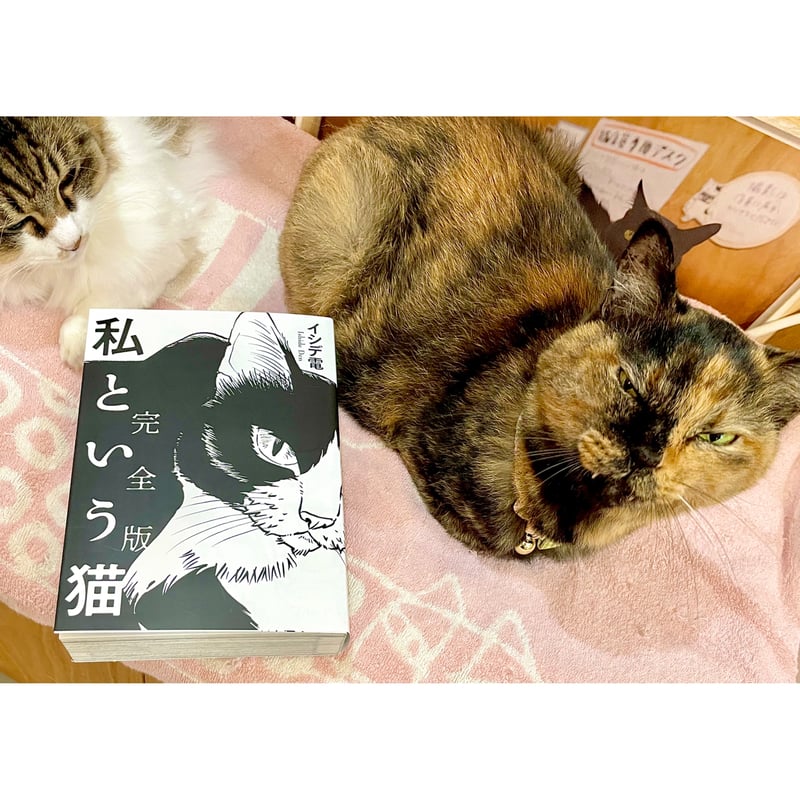 直筆サイン入り】私という猫 完全版 | Cat's Meow Books Virtual S