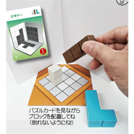 シャドウ・ブロック　予約品　10月発売予定　入荷次第　発送