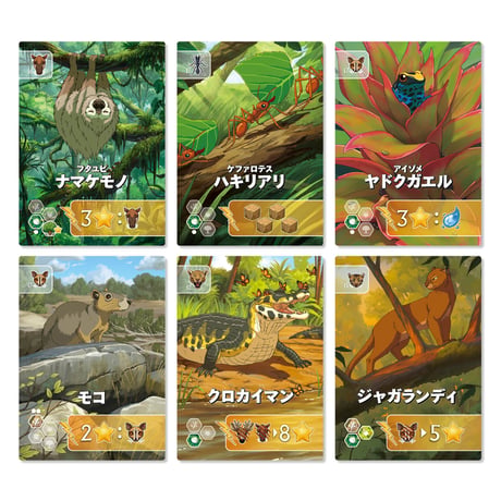 リワイルド：南米 予約品　8月31日発売　入荷次第　発送