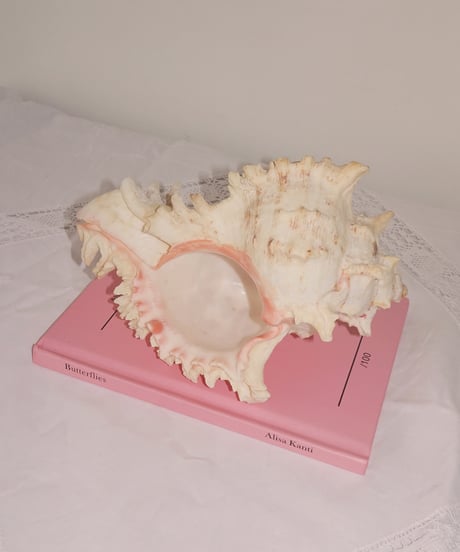 Shell Object