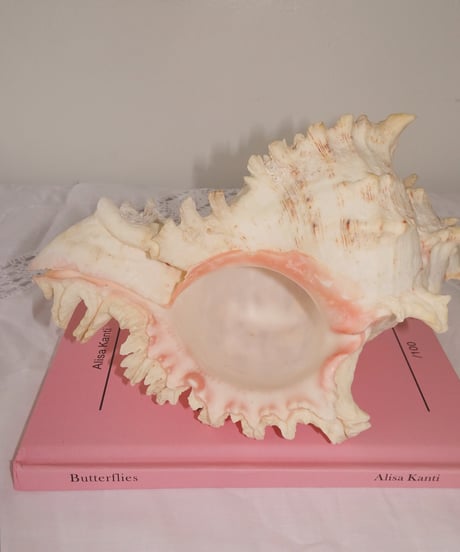 Shell Object