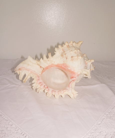 Shell Object