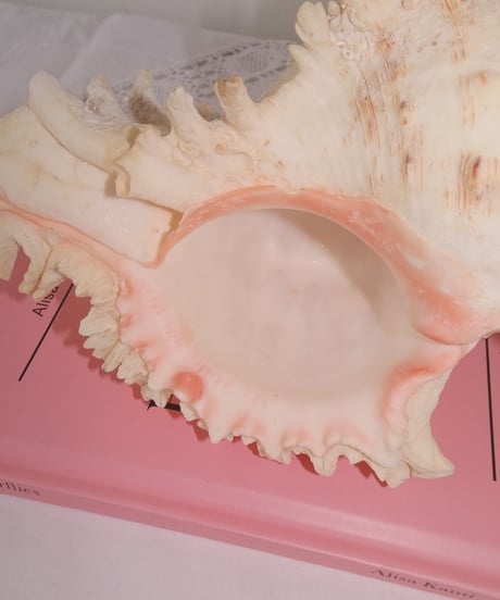 Shell Object