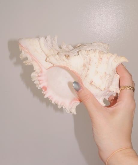 Shell Object