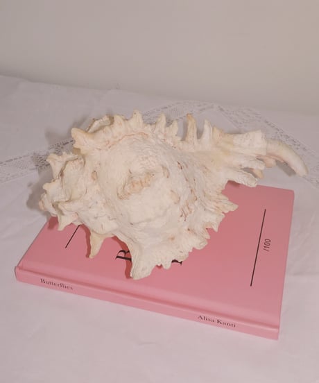 Shell Object