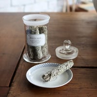 White Sage(ホワイトセージ） in 標本瓶