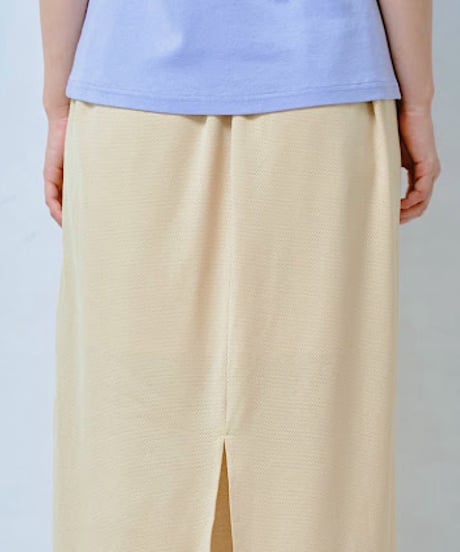 【HCAE】 ZIP MESH SKIRT　E27S0008