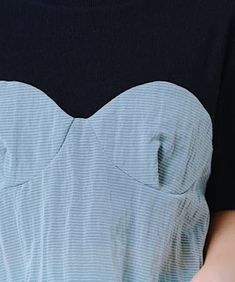 【HCAE】 BUSTIER LAYERED TOP　E27S0016