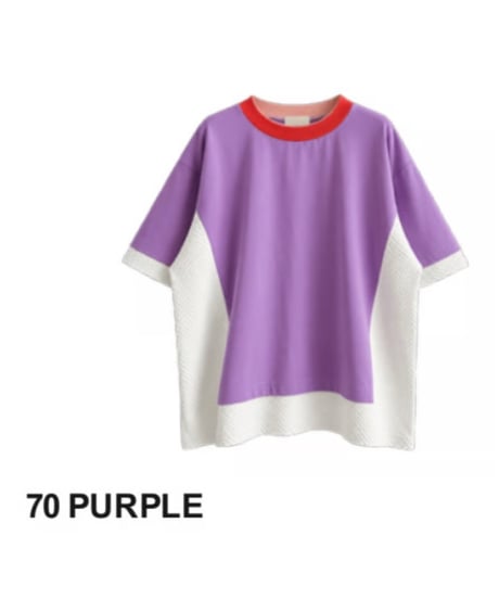 【HCAE】 LAYERED COLLAR COMBINATION TOP　E27S0017