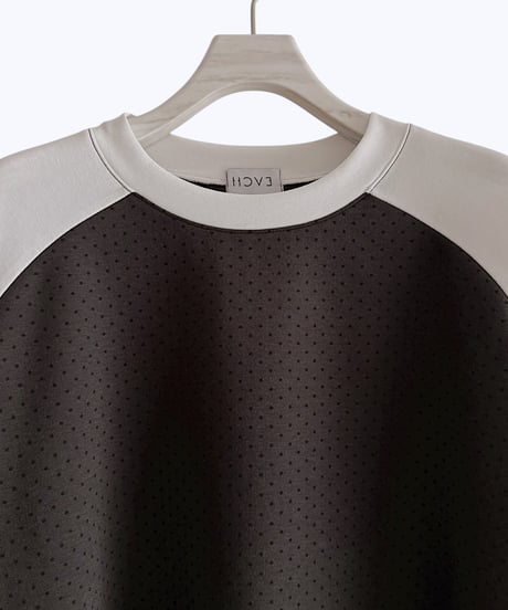 【HCAE】 DOT RAGLAN TOP  E26A0033