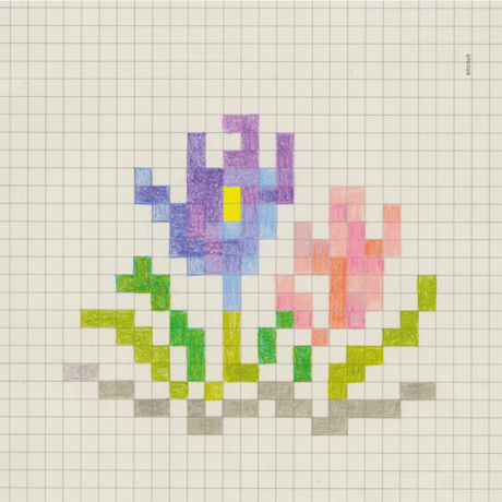 2027 salviaカレンダー／12ヶ月の草花図案帖