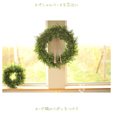 [2026 GOD JUL]salviaオリジナルフレッシュグリーンのスペシャルリース＆カード織リボン
