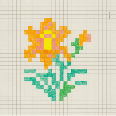 2027 salviaカレンダー／12ヶ月の草花図案帖