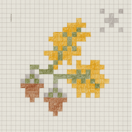 2027 salviaカレンダー／12ヶ月の草花図案帖