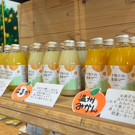 明浜みかんストレートジュース小瓶