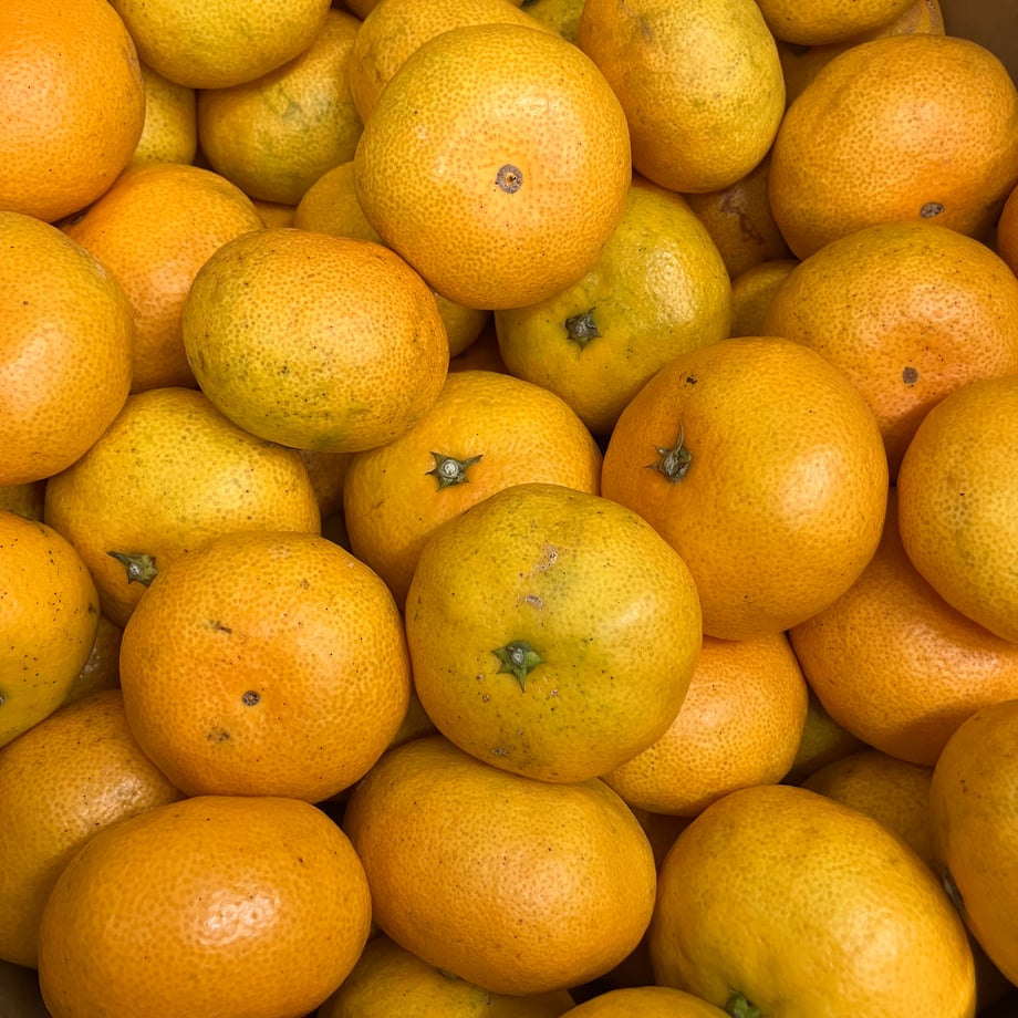 6527300d3ef306061e1f4235