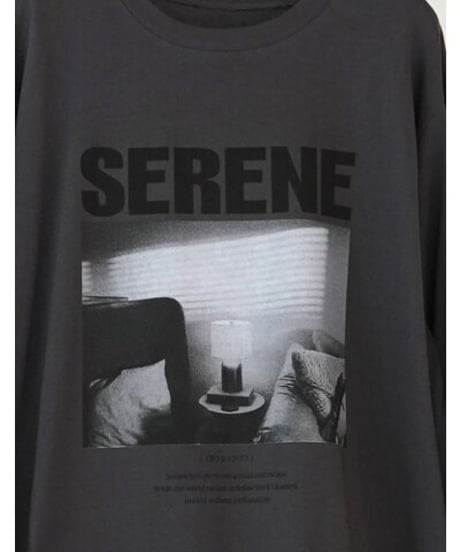 ワイヤーヘムPHOTOロンTEE  8465-441KO  / CHIGNON