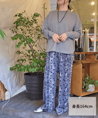 ドットストレートPT 3965-317KK  / CHIGNON