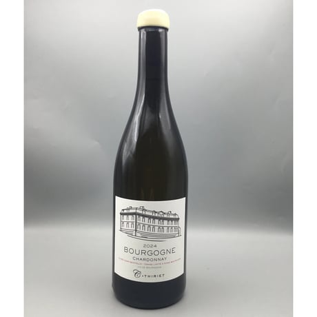 Bourgogne Blanc 2024 Camille Thiriet　カミーユ・ティリエ