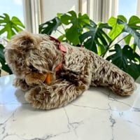 送料無料★シュタイフ★Floppy Zotty 17cm★フロッピーゾッティ/スリーピングゾッティ/居眠りゾッティ/うたた寝ゾッティ★Steiff/STEIFF