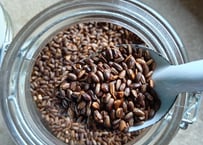自家栽培の玄米だけの玄米茶