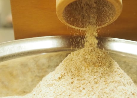 種まきから始めた小麦の全粒粉