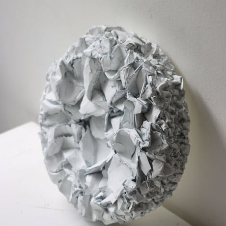 " Ryota Akiyama " Crack and Shrink - S