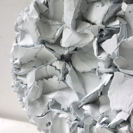 " Ryota Akiyama " Crack and Shrink - S