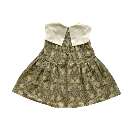 William Morris Anemone OP