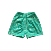 feather print green : Short Pants