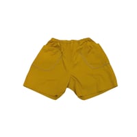 SAMPLE :Short PT