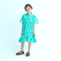 Feather print green Dress
