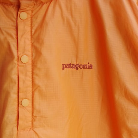 patagonia"Micro Puff Vest
