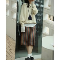 Multi-striped skirt