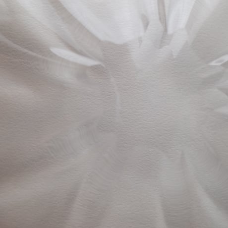 塩谷由佳乃／SHIOYA Yukano「菓子皿」