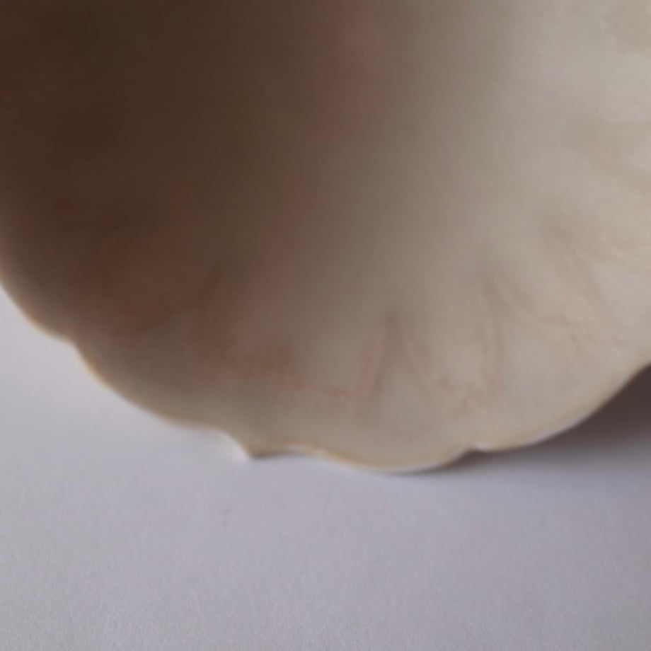 62fa0f94ac36616a581477ea