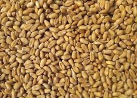 9月おすすめ缶ビール5種6本セット