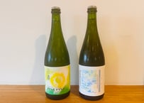 Foeder熟成ビール2本セット　750ml瓶製品／化粧箱入り