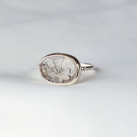 Picture Agate Ring #14