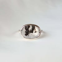 Picture Agate Ring #14