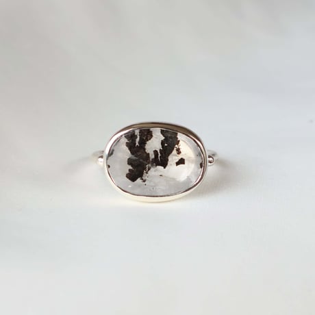 Picture Agate Ring #14