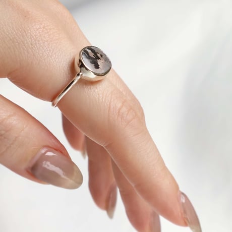 Picture Agate Ring #14