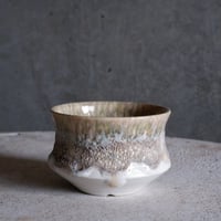 Φ8.8×h6㎝ coral pot  H698