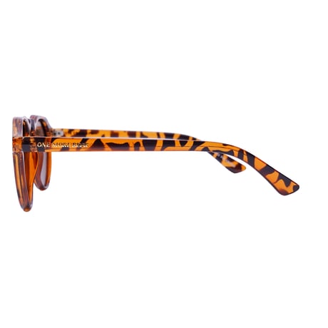 BRAVO DEMI FRAME(Brown Lens)