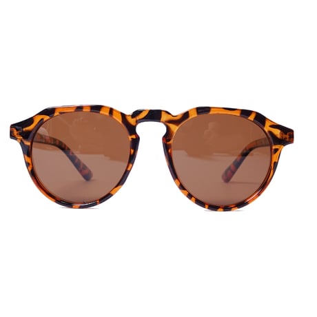 BRAVO DEMI FRAME(Brown Lens)